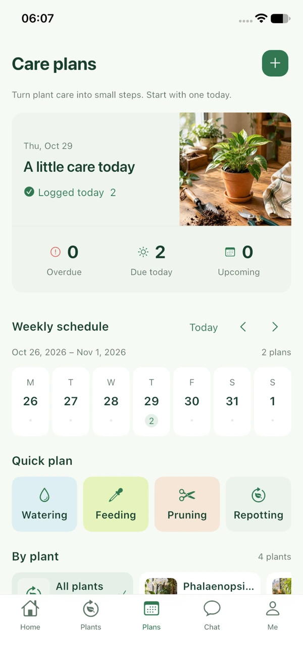 Folii care plans with daily tasks and a weekly schedule